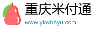 重庆米付通
